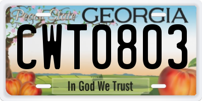GA license plate CWT0803
