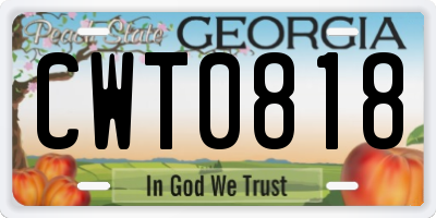 GA license plate CWT0818