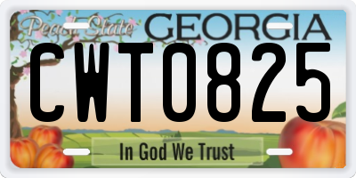 GA license plate CWT0825