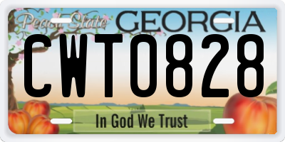 GA license plate CWT0828