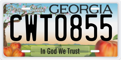 GA license plate CWT0855