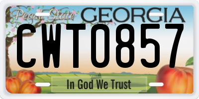 GA license plate CWT0857