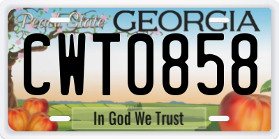 GA license plate CWT0858