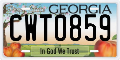 GA license plate CWT0859