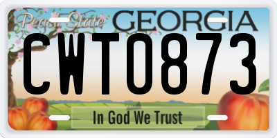 GA license plate CWT0873