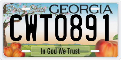 GA license plate CWT0891