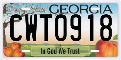 GA license plate CWT0918