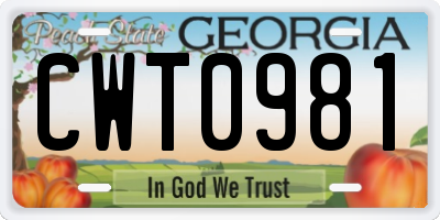 GA license plate CWT0981