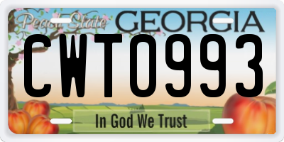GA license plate CWT0993