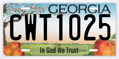 GA license plate CWT1025