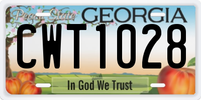 GA license plate CWT1028