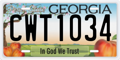 GA license plate CWT1034