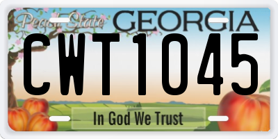 GA license plate CWT1045