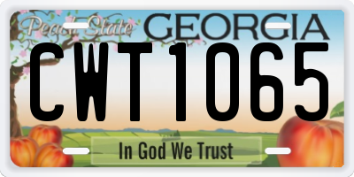 GA license plate CWT1065