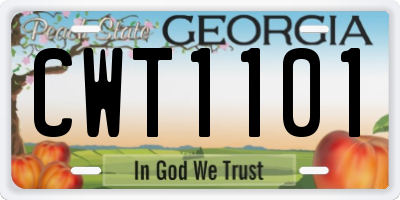 GA license plate CWT1101