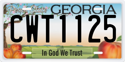 GA license plate CWT1125
