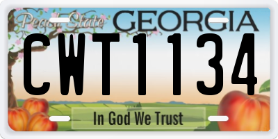 GA license plate CWT1134