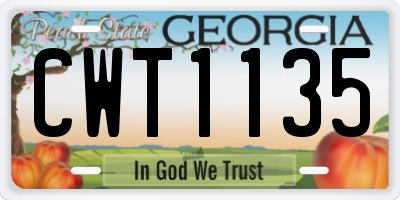 GA license plate CWT1135