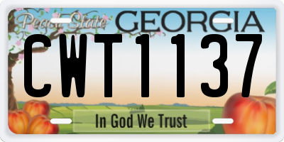 GA license plate CWT1137