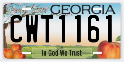GA license plate CWT1161