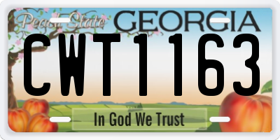 GA license plate CWT1163