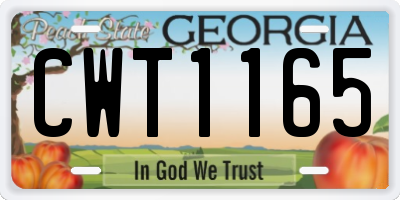 GA license plate CWT1165