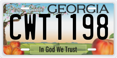 GA license plate CWT1198