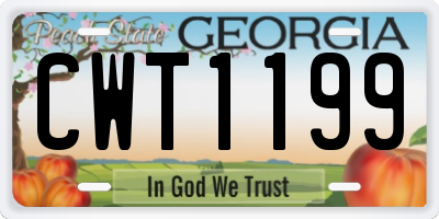 GA license plate CWT1199