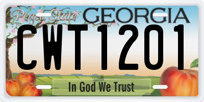 GA license plate CWT1201