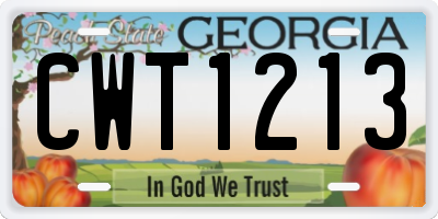 GA license plate CWT1213