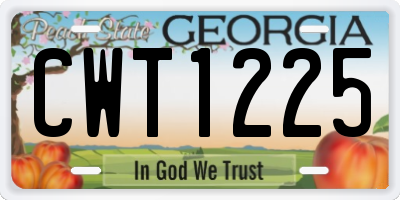 GA license plate CWT1225