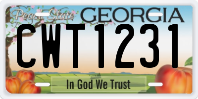 GA license plate CWT1231