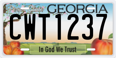 GA license plate CWT1237