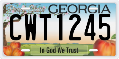 GA license plate CWT1245