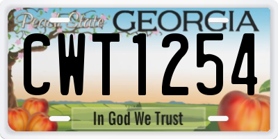 GA license plate CWT1254