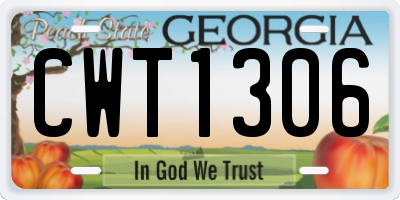 GA license plate CWT1306