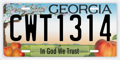 GA license plate CWT1314