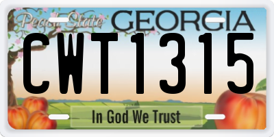 GA license plate CWT1315
