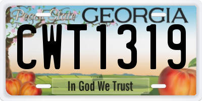 GA license plate CWT1319