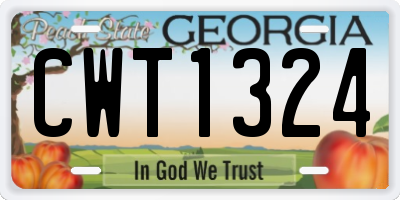 GA license plate CWT1324
