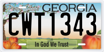 GA license plate CWT1343