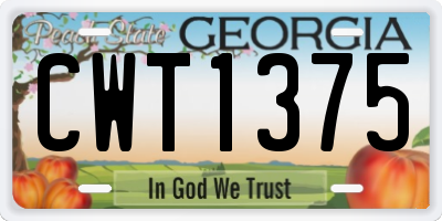 GA license plate CWT1375