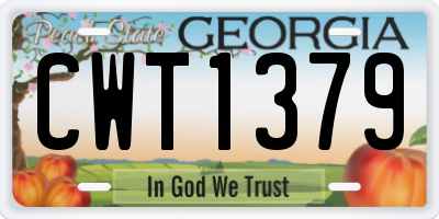 GA license plate CWT1379