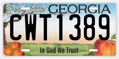GA license plate CWT1389