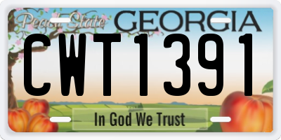 GA license plate CWT1391