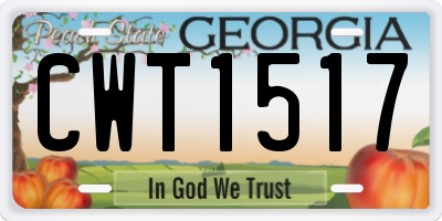 GA license plate CWT1517
