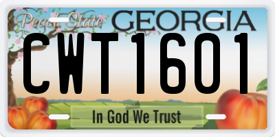 GA license plate CWT1601