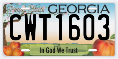 GA license plate CWT1603
