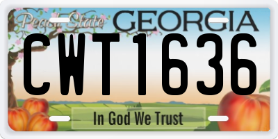 GA license plate CWT1636