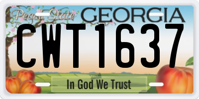 GA license plate CWT1637